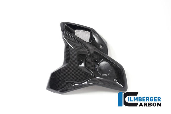 Ilmberger BMW R 1200 GS LC Ilmberger carbon zijkuipdeel en luchtinlaatafdekking 2017-2020 Kuipdelen BMW R 1200 GS LC Ilmberger carbon zijkuipdeel en luchtinlaatafdekking