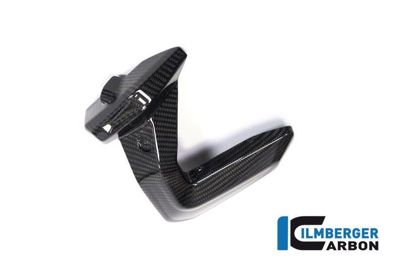 Ilmberger BMW R 1250 Ilmberger carbon bougieafdekking Motorblok bescherming