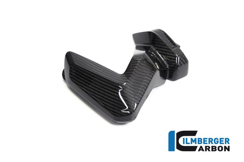 Ilmberger ZKL.012.GS19T.K BMW R 1250 Ilmberger carbon bougieafdekking Motorblok bescherming