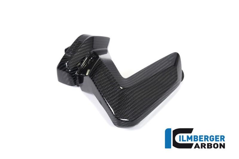 Ilmberger ZKR.013.GS19T.K BMW R 1250 Ilmberger carbon bougieafdekking Motorblok bescherming